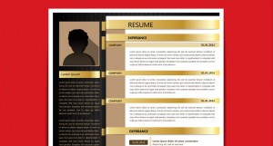 cv de traductor freelance