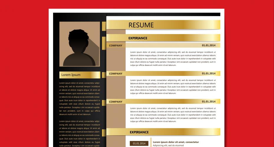 cv de traductor freelance