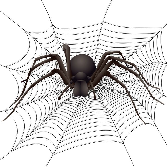 Araña que espera para atrapar su presa para ilustrar una estrategia de precios en traducción
