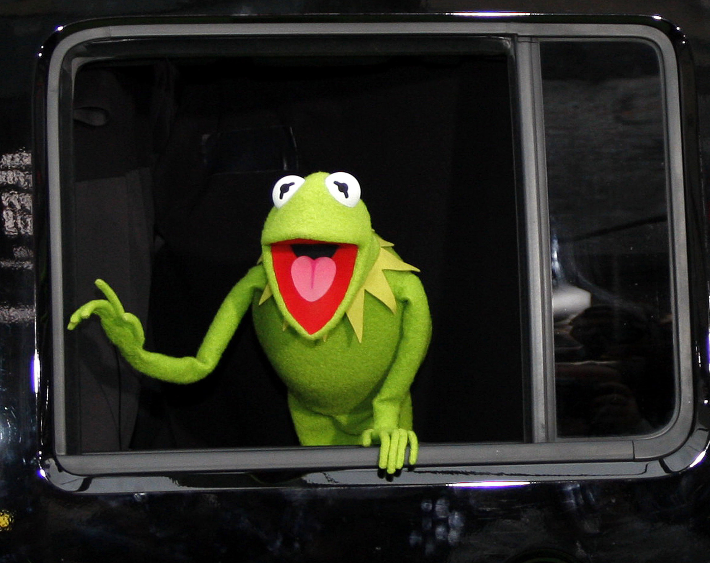 Kermit-René-o-Gustavo
