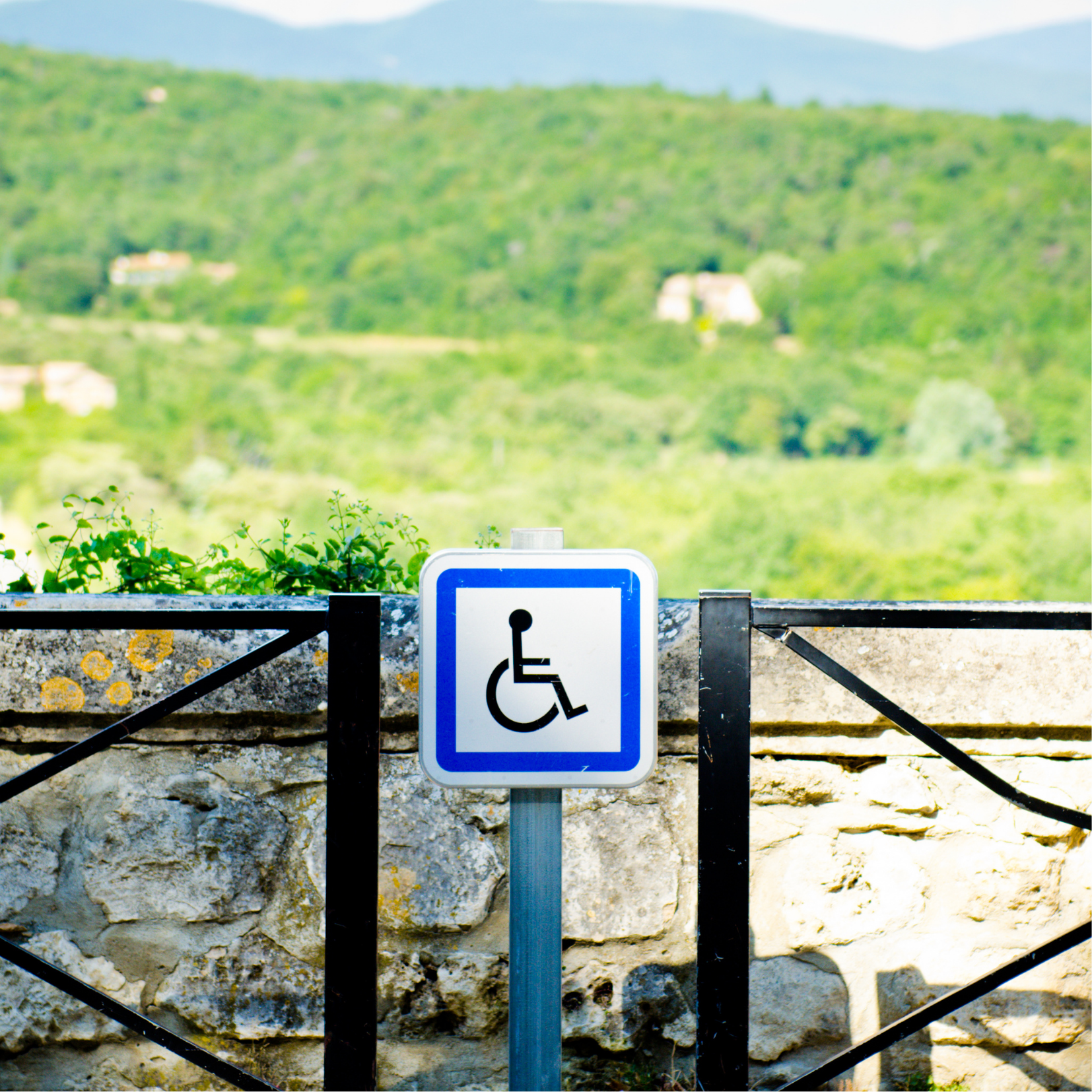 El lenguaje y la discapacidad