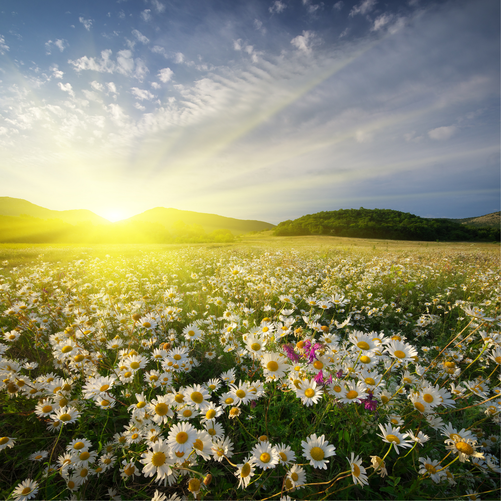 Primavera y su inspiración lírica